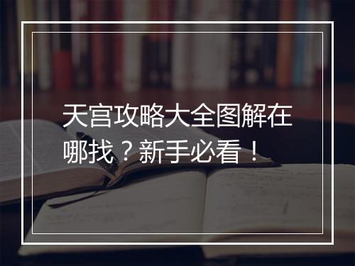 天宫攻略大全图解在哪找？新手必看！