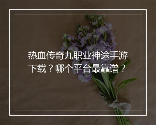 热血传奇九职业神途手游下载？哪个平台最靠谱？