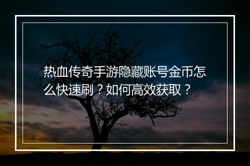 热血传奇手游隐藏账号金币怎么快速刷？如何高效获取？