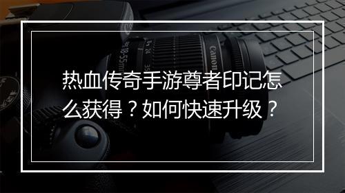 热血传奇手游尊者印记怎么获得？如何快速升级？