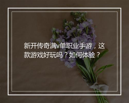 新开传奇满v单职业手游，这款游戏好玩吗？如何体验？