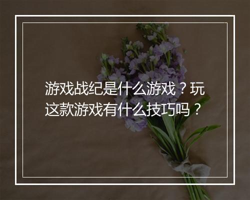 游戏战纪是什么游戏？玩这款游戏有什么技巧吗？