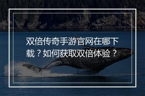 双倍传奇手游官网在哪下载？如何获取双倍体验？