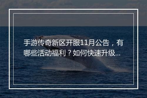 手游传奇新区开服11月公告，有哪些活动福利？如何快速升级？