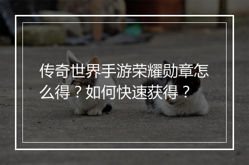 传奇世界手游荣耀勋章怎么得？如何快速获得？