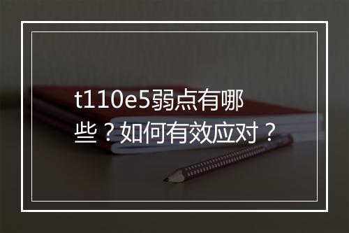 t110e5弱点有哪些？如何有效应对？