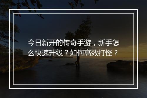 今日新开的传奇手游，新手怎么快速升级？如何高效打怪？