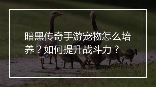 暗黑传奇手游宠物怎么培养？如何提升战斗力？