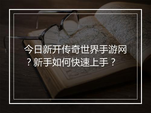 今日新开传奇世界手游网？新手如何快速上手？