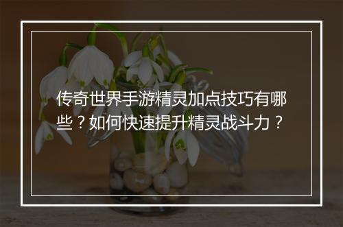 传奇世界手游精灵加点技巧有哪些？如何快速提升精灵战斗力？