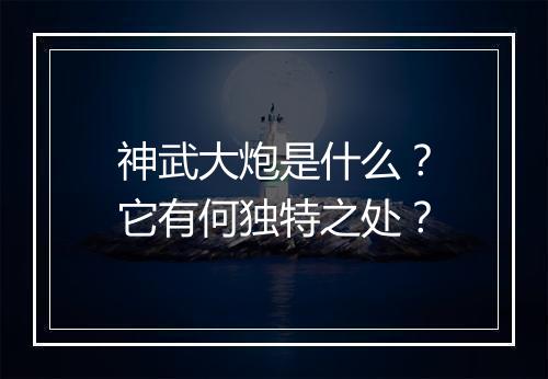 神武大炮是什么？它有何独特之处？