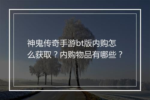神鬼传奇手游bt版内购怎么获取？内购物品有哪些？