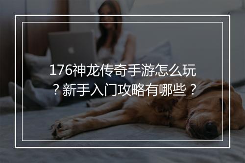 176神龙传奇手游怎么玩？新手入门攻略有哪些？