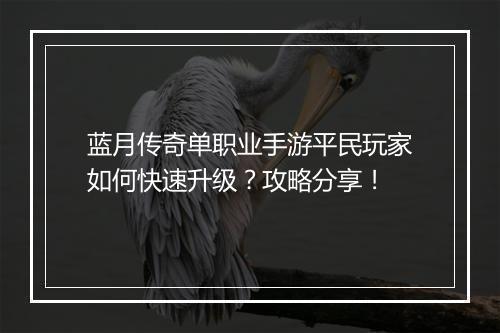 蓝月传奇单职业手游平民玩家如何快速升级？攻略分享！