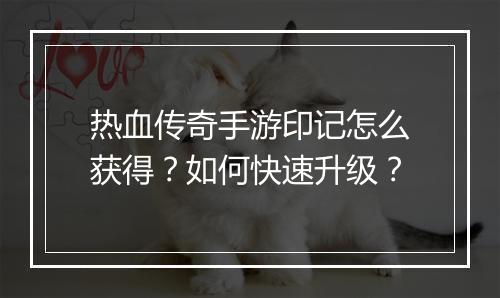 热血传奇手游印记怎么获得？如何快速升级？