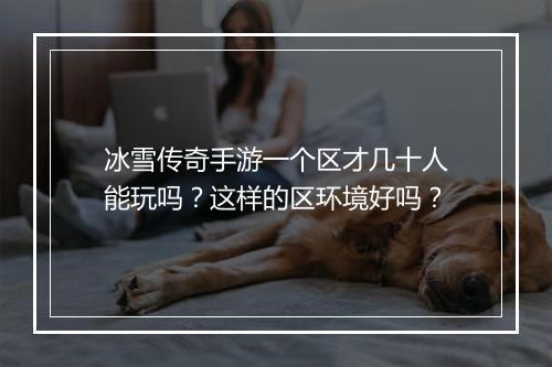 冰雪传奇手游一个区才几十人能玩吗？这样的区环境好吗？