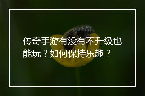 传奇手游有没有不升级也能玩？如何保持乐趣？