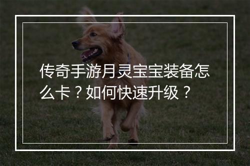 传奇手游月灵宝宝装备怎么卡？如何快速升级？