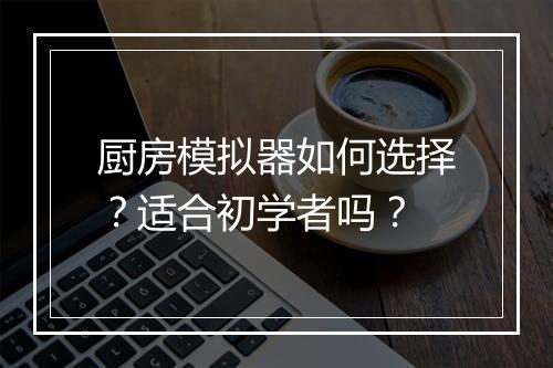 厨房模拟器如何选择？适合初学者吗？