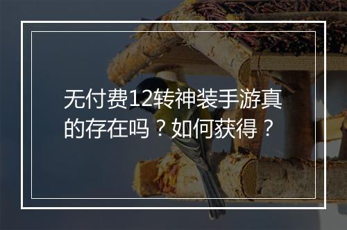 无付费12转神装手游真的存在吗？如何获得？