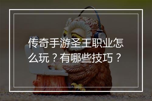 传奇手游圣王职业怎么玩？有哪些技巧？