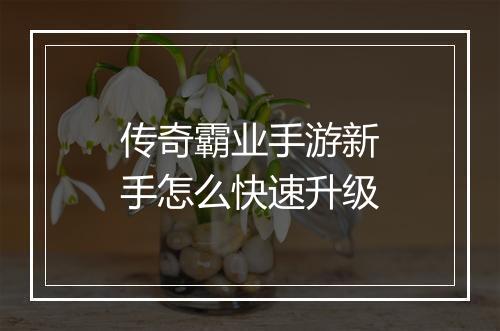传奇霸业手游新手怎么快速升级