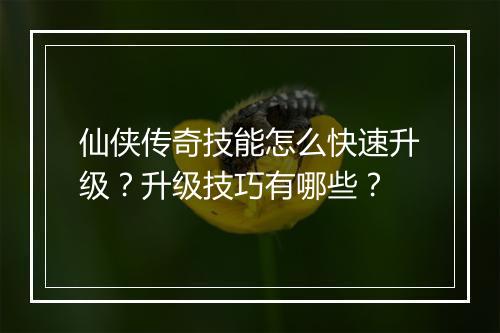 仙侠传奇技能怎么快速升级？升级技巧有哪些？