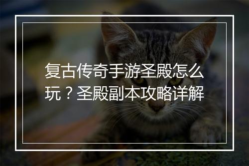 复古传奇手游圣殿怎么玩？圣殿副本攻略详解