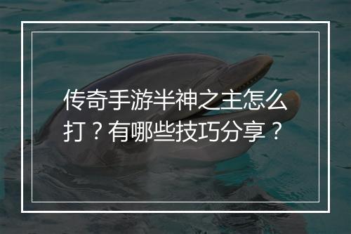 传奇手游半神之主怎么打？有哪些技巧分享？