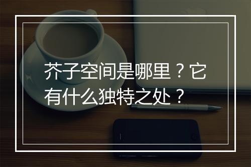 芥子空间是哪里？它有什么独特之处？
