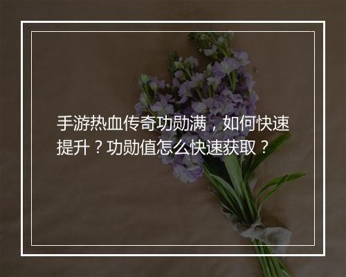 手游热血传奇功勋满，如何快速提升？功勋值怎么快速获取？