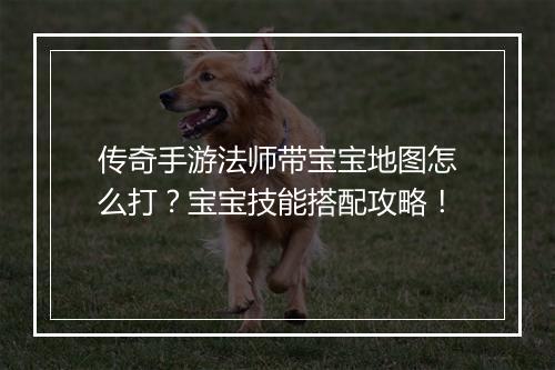 传奇手游法师带宝宝地图怎么打？宝宝技能搭配攻略！