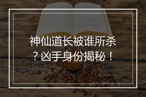 神仙道长被谁所杀？凶手身份揭秘！