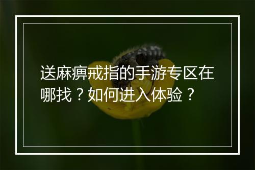 送麻痹戒指的手游专区在哪找？如何进入体验？