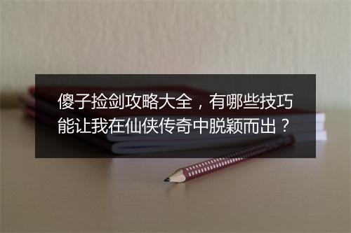 傻子捡剑攻略大全，有哪些技巧能让我在仙侠传奇中脱颖而出？