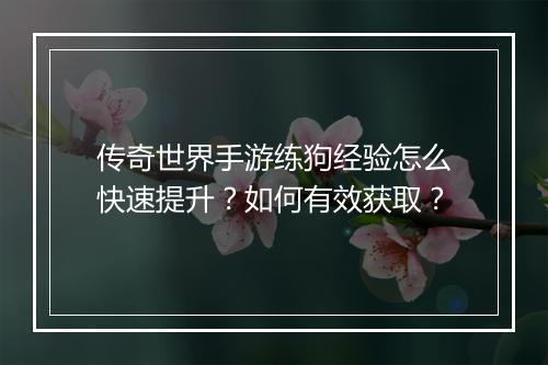 传奇世界手游练狗经验怎么快速提升？如何有效获取？
