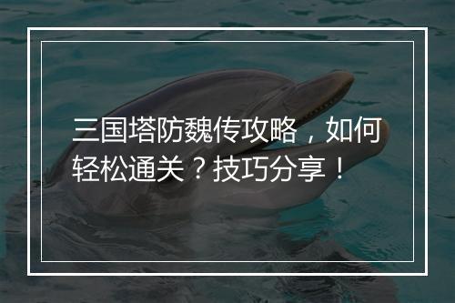 三国塔防魏传攻略，如何轻松通关？技巧分享！