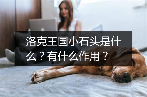 洛克王国小石头是什么？有什么作用？