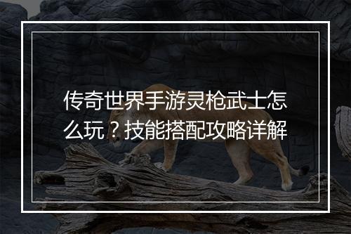 传奇世界手游灵枪武士怎么玩？技能搭配攻略详解