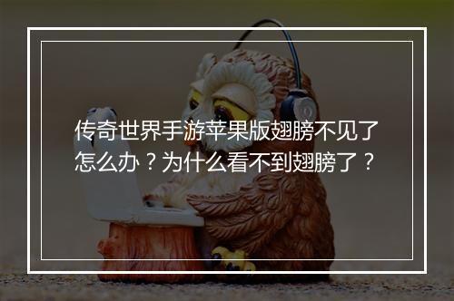 传奇世界手游苹果版翅膀不见了怎么办?为什么看不到翅膀了?