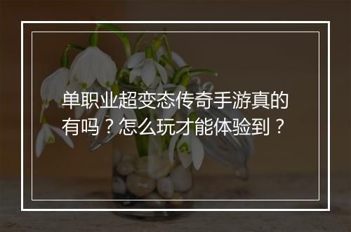 单职业超变态传奇手游真的有吗？怎么玩才能体验到？