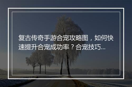 复古传奇手游合宠攻略图，如何快速提升合宠成功率？合宠技巧揭秘！