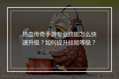 热血传奇手游专业技能怎么快速升级？如何提升技能等级？