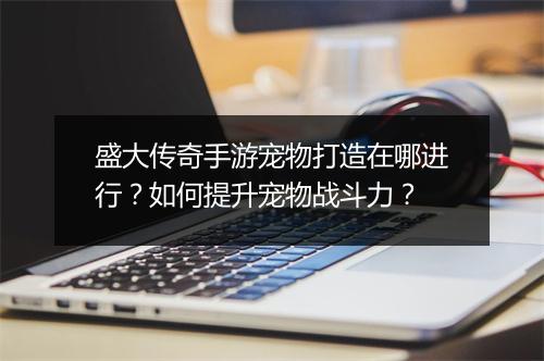 盛大传奇手游宠物打造在哪进行？如何提升宠物战斗力？