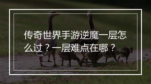 传奇世界手游逆魔一层怎么过？一层难点在哪？
