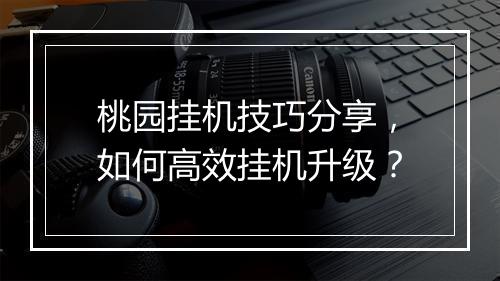 桃园挂机技巧分享，如何高效挂机升级？