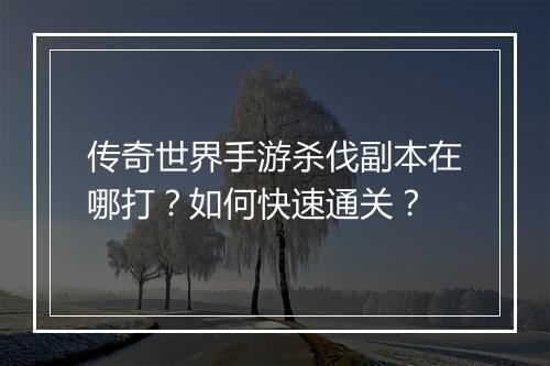 传奇世界手游杀伐副本在哪打？如何快速通关？