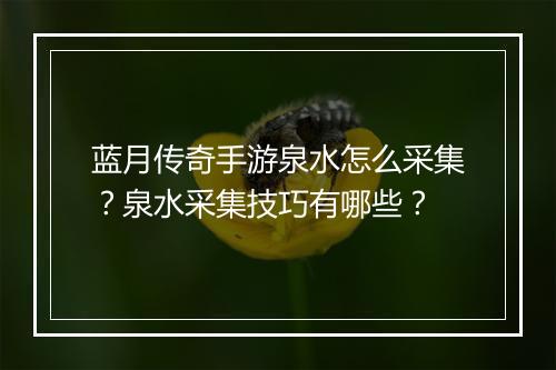 蓝月传奇手游泉水怎么采集？泉水采集技巧有哪些？