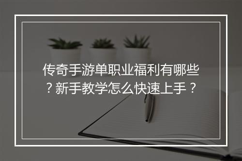传奇手游单职业福利有哪些？新手教学怎么快速上手？