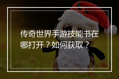 传奇世界手游技能书在哪打开？如何获取？